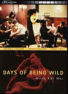 Days of Being Wild (HK 1990)