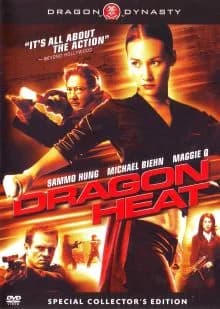 Dragon Squad (HK/USA 2005)