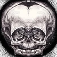 We Sink - We Sink (2011, Chorus of One Records)