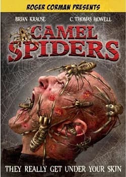 Camel Spiders (USA 2011)