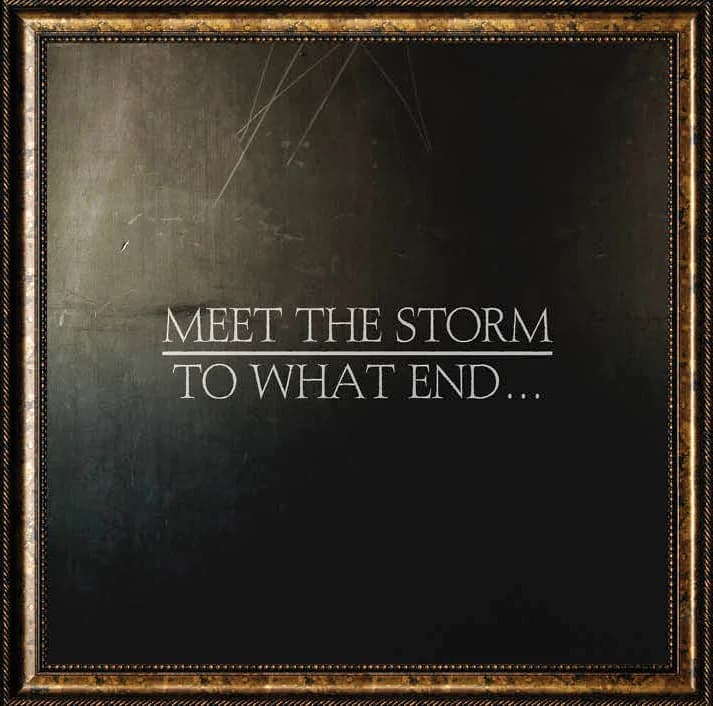Meet the Storm - To What End... (2013, White Russian Records)
