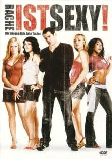 Rache ist sexy (USA 2006)