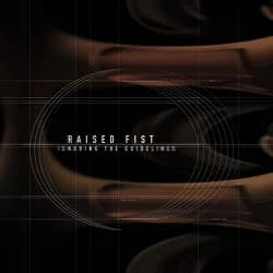 Raised Fist - Ignoring the Guidelines (2000, Burning Heart Records)