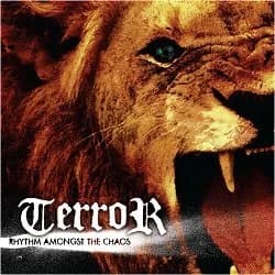 Terror - Rhythm Amongst the Chaos (2007, Reflections Records)