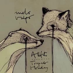 Torpedo Holiday / Allfits - melo / vulpo (2013, HugMe!DIYrec.)