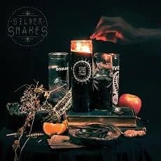 Silver Snakes - Year Of the Snakes (2014, Bridge Nine Records)