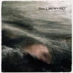 Small Brown Bike - The River Bed (2003, Lookout! Records)