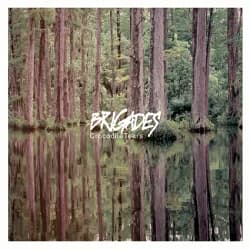 Brigades - Crocodile Tears (2014, Pure Noise Records) 