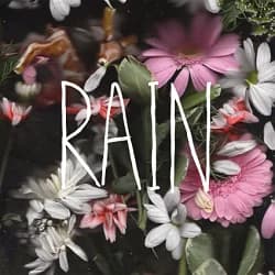 Goodtime Boys - Rain (2014, Bridge Nine Records)