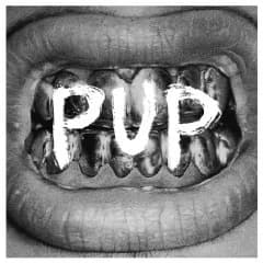 Pub - Pub (2014, SideOneDummy)