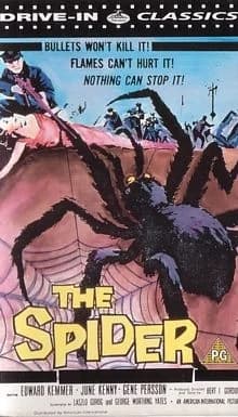 Die Rache der schwarzen Spinne (USA 1958)