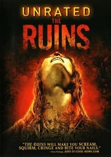 Ruinen (USA/AUS/D 2008)
