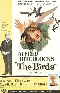 Die Vögel (USA 1963) 