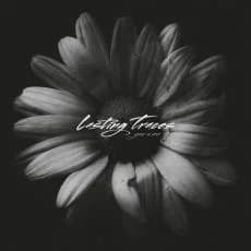 Lasting Traces - You & Me (2015, Redfield Records)