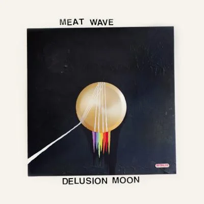 Meat Wave - Delusion Moon (2015, SideOneDummy)