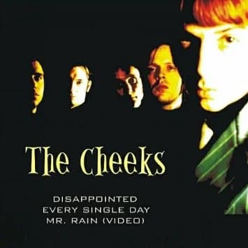 The Cheeks - Disappointed (2002, Wolverine Records)