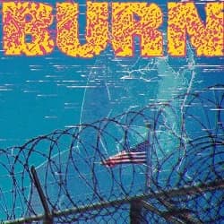 Burn - ...From the Ashes (2016, Bridge Nine Records)