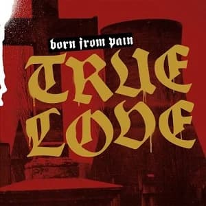 Born From Pain: Album-Anheizer zu Abriss-Track