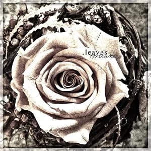 .leaves - Kontraste (2014, DIY)