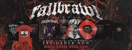 Fallbrawl: Weiterer Track der neuen Platte
