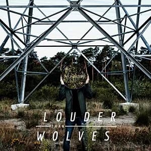 Louder Than Wolves - Malfunctions (2019, DIY)