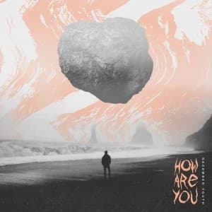 December Youth - How Are You (2020, Midsummer Records)