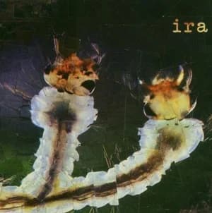 IRA - The Body and the Soil (2005, Go-Kart Records)