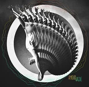Amour Vache - Amour Vache (2021, Vectralkoerper Recordings)
