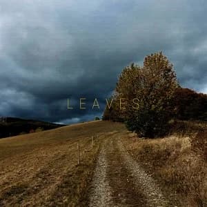 Leaves - Leaves (2021, Midsummer Records)