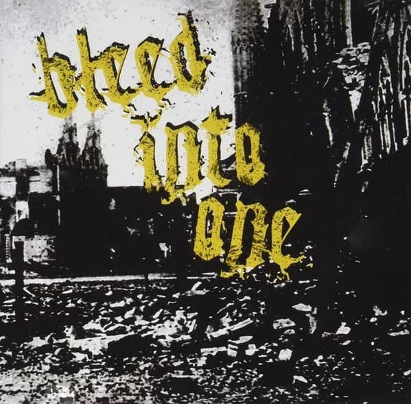 Bleed Into One - The Scars Remain (2008, Demons Run Amok)
