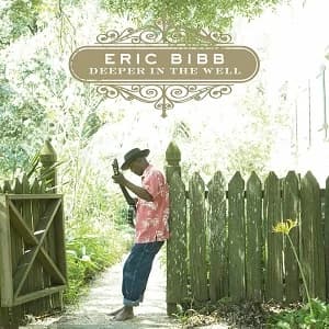 Eric Bibb - Deeper in the Well (2012, Stony Plain Records)