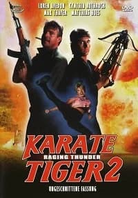 Karate Tiger 2 (HK/USA 1987)