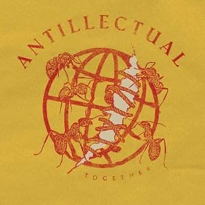 Antillectual - Together (2023, DIY)