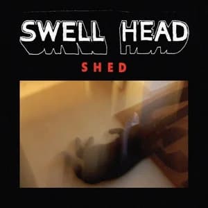 Swellhead: Einfach mal Title Fight covern