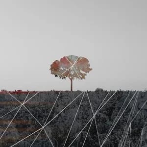 Yarborough - Grand Decay (2024, DIY)