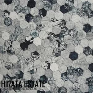 Hirata Estate - Crank Magnetism (2024, DIY)