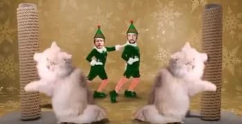 The Feelgood McLouds: Ein musikalischer Weihnachtsgruß mit Trash-Video