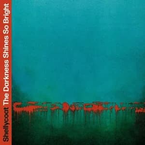 Shellycoat - The Darkness Shines So Bright (2024, Not Sorry Records)